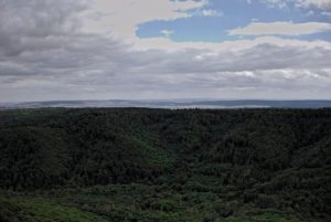 ausblick-hainleite-kyffhaeuser