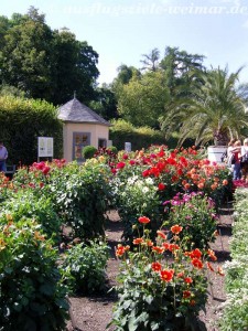 Der alte Garten des Belvedere erfreut die Besucher mit seiner saisonalen Bepflanzung