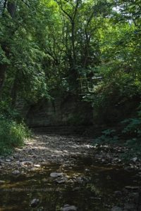 Vertiefungen im Ilm-Flussbett enthalten Restwasser