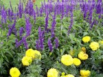 Im egapark Erfurt