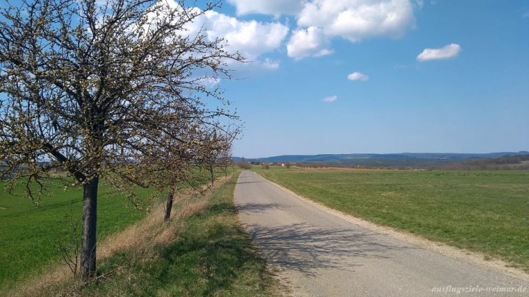 Landstraße nach Rettwitz von Hochdorf mit Apfelbäumen auf linker Seite