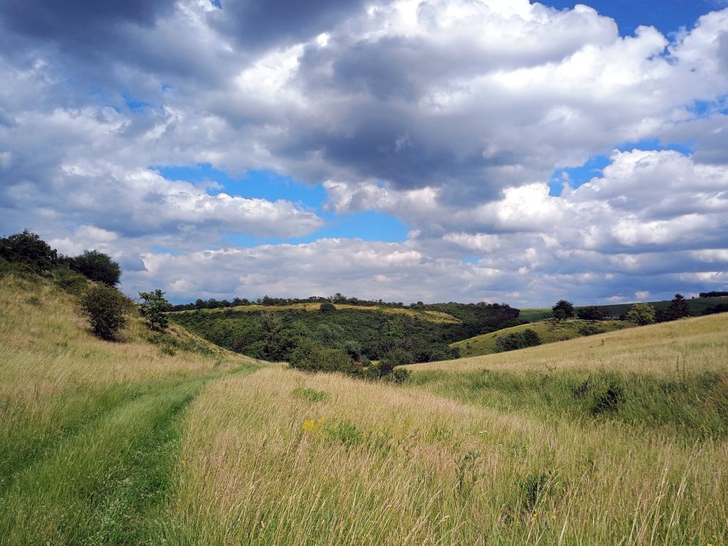 Hohe Schrecke Wiesenweg 2