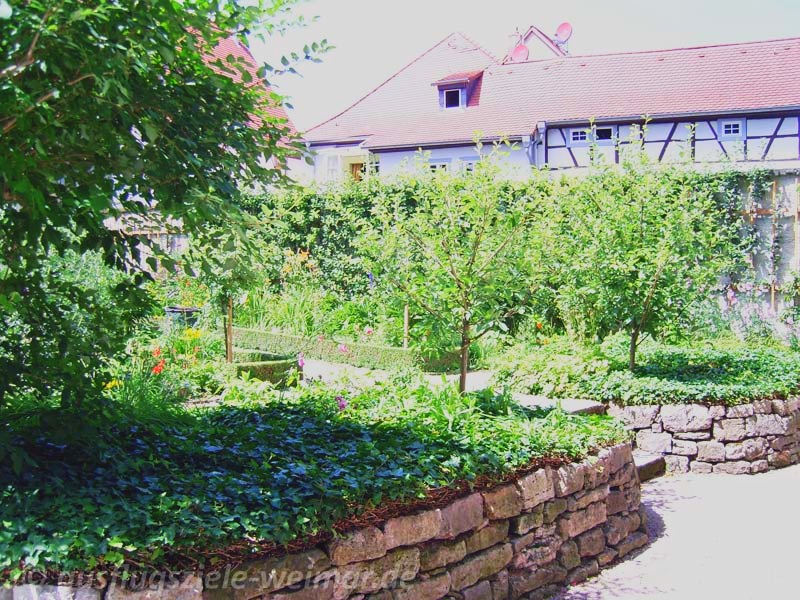 Der Garten im Kirms-Krackow-Haus