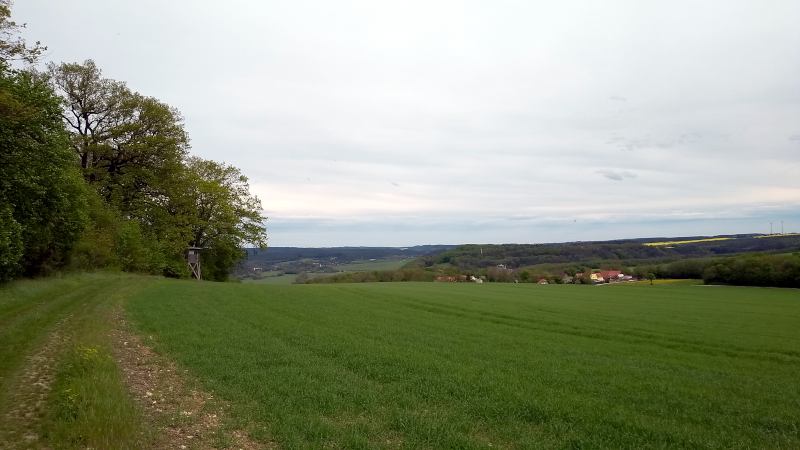 Botenweg nahe Kranichfeld