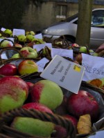 Apfelsorten Bestimmung Obstmarkt Tiefengruben
