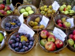 Obst Obstmarkt Tiefengruben