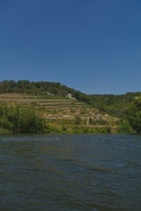 Weinanbaugebiet Saale-Unstrut