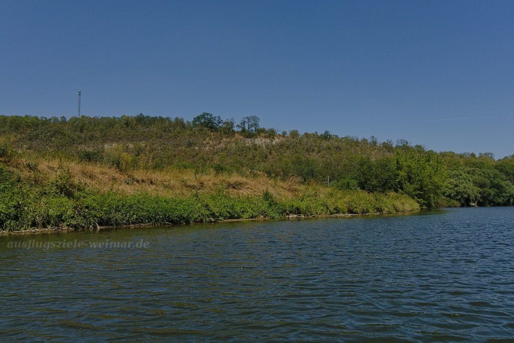 Nahezu unberührte Natur - Paddeln auf der Saale