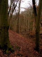 Rautal Jena der Winterlinge Rundweg Ausflugsziele Weimar