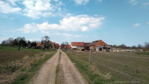 Blick zum Dorfausgang Rettwitz mit Pferdekoppel
