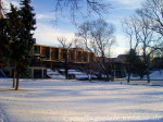 Weimarhallepark im Winter